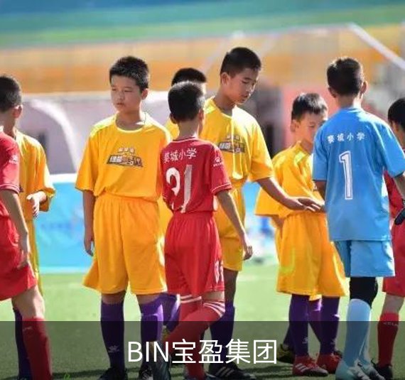 了解BIN宝盈集团